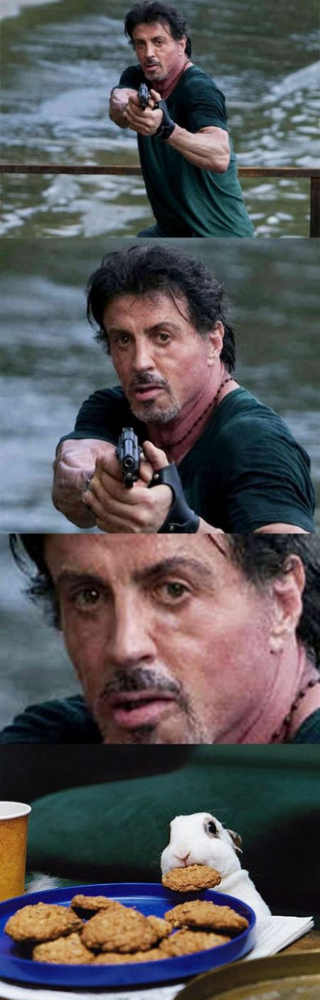 Фотожаба: Куда так торопится Слай?