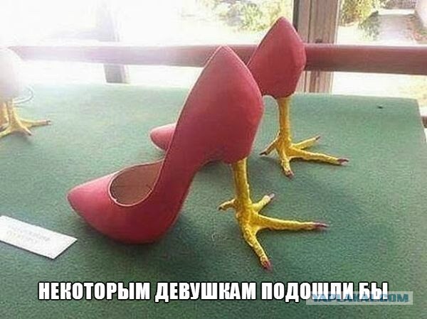 И тапки на капот