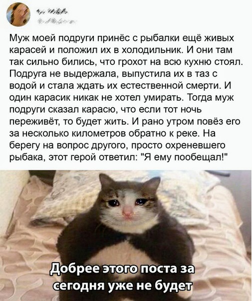 Немного картинок для настроения 18.11.20