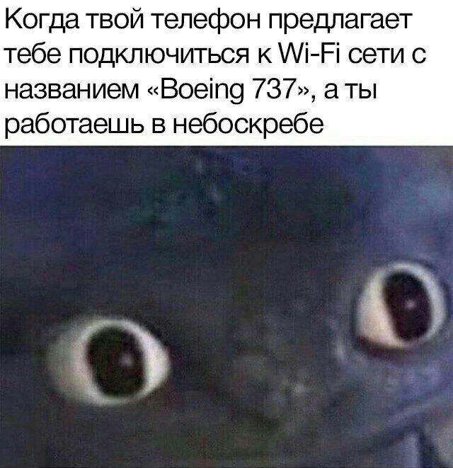 Воскресные кретинизмы из сети 07.02.21