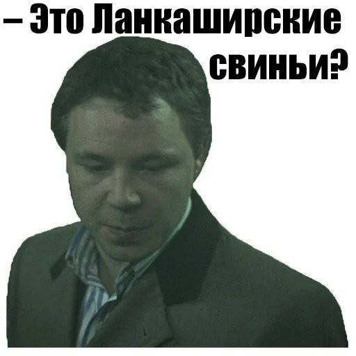 130-килограммовая свинья живет в доме и спит в запасной спальне, так как на улице ей слишком холодно