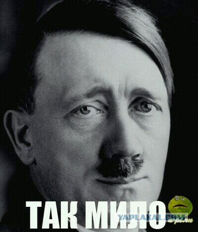 Не найдя греков, фанаты били друг друга