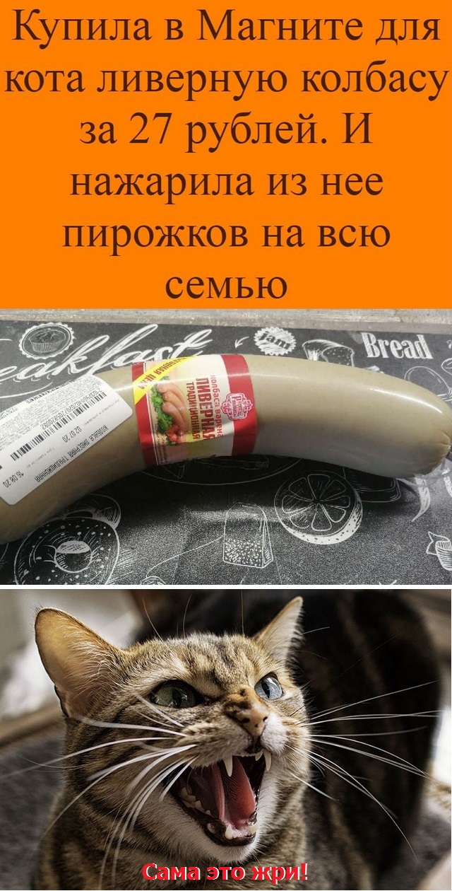 «Берегите котиков!»: эти продукты категорически нельзя кошкам