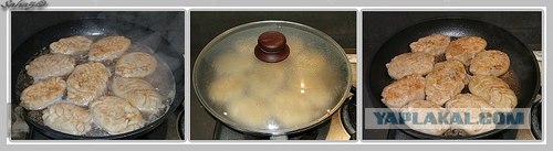 Хошаны