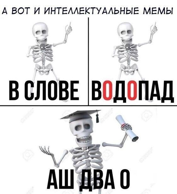 Весёлый полтишок 20.03.22