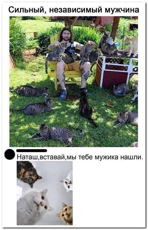 16592689.jpg