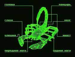 А потом он достал нож и они сразу победили!