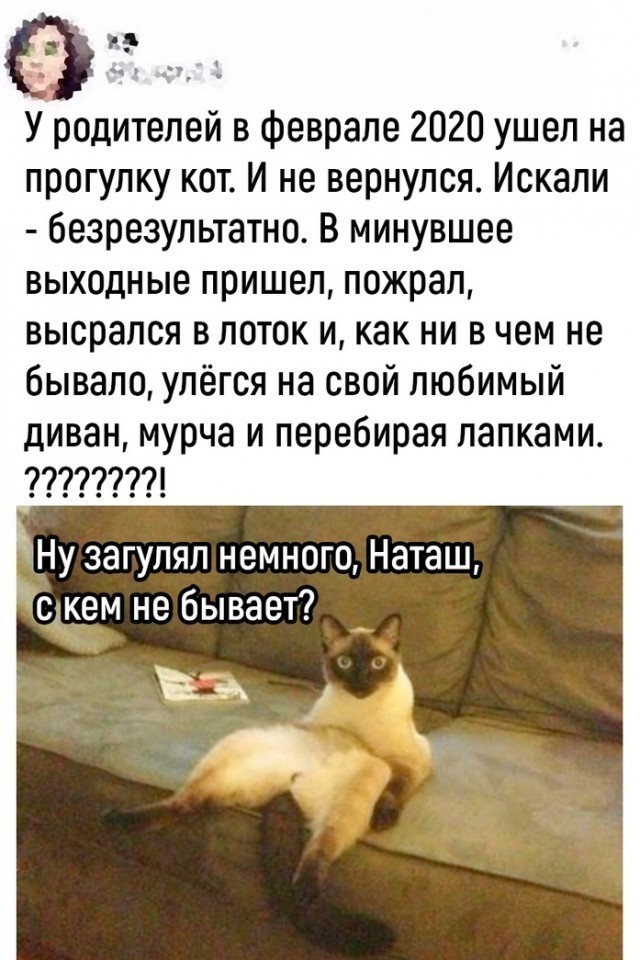 Вернулась