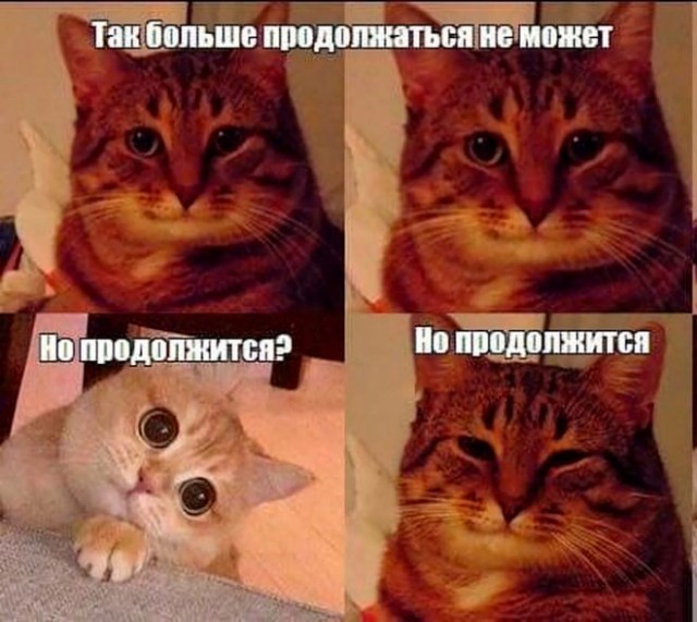 Мемчики. Опишите одним мемом, как дела, что на душе?