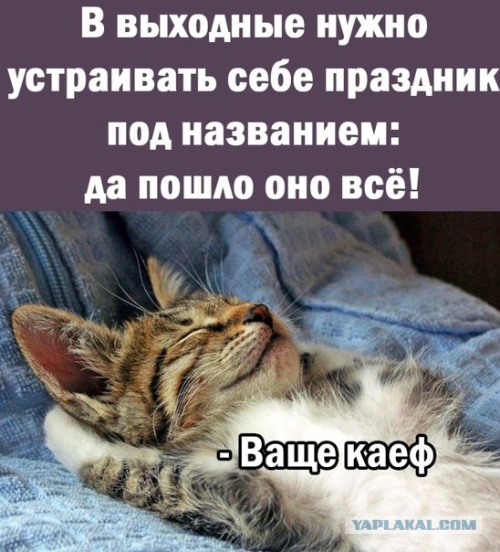 Прикольные и просто красивые картинки 25.10.2022