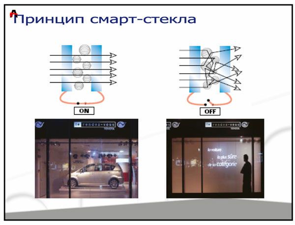 Уборная для эксгибиционистов