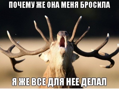 Как я делал ремонт в 2-х комнатной хрущевке