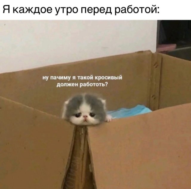 Немного картинок для настроения