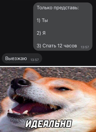 Картинки и мемы, всем хороших выходных