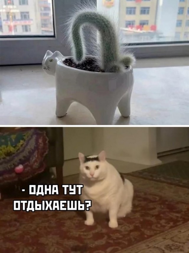 Немного картинок для настроения - 153