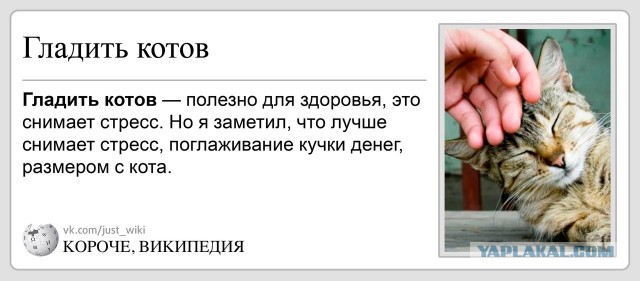 А как же я!? Малыш! Ведь я же лучше! Лучше собаки!