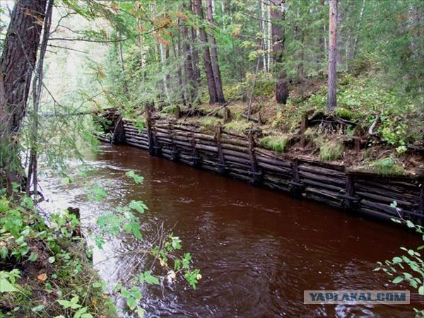 Реки, большие и маленькие