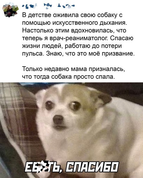 20 картинок