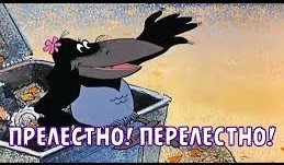 Индийские тиктокеры