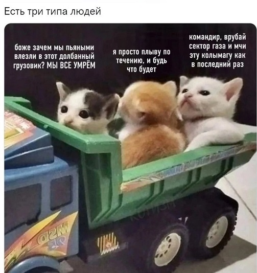 Ремонт в доме - моя страсть!