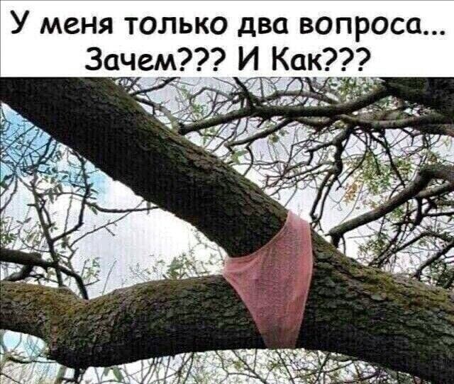 Юмор в картинках и без 26.03.2024