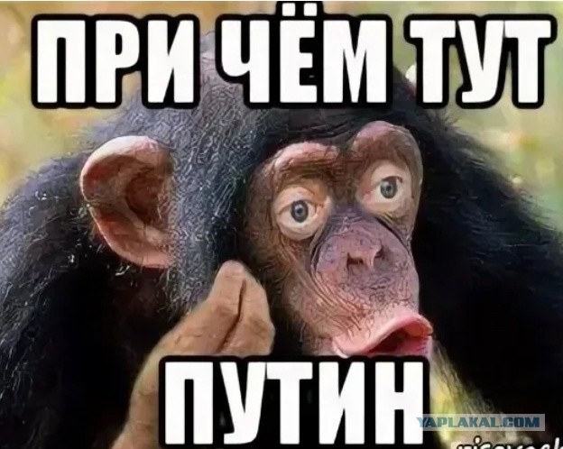 Посмотрите, прежде чем читать заголовки СМИ....