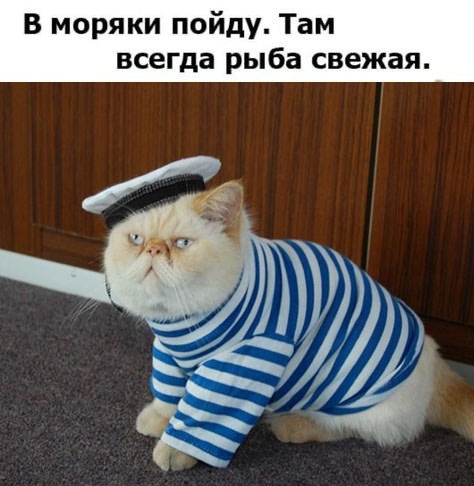 Так себе картинки 16.10.24