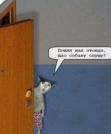 Ошибка в учебнике или…