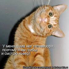 У Роскомнадзора есть основания «для принятия мер в отношении YouTube»