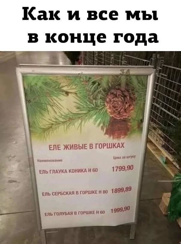 Веселые картинки в понедельник (20.01)