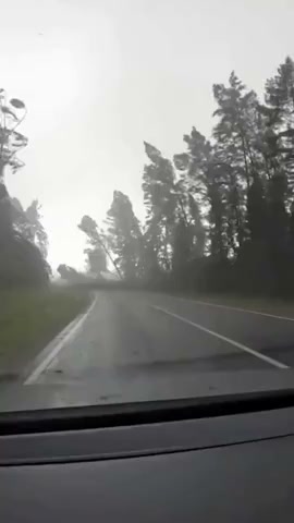После просмотра этого видео вы ещё сильней полюбите свой климатический пояс