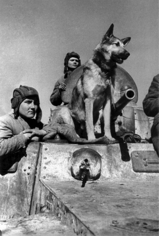 Великая Отечественная в фотографиях-10