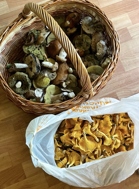 Клуб говорунов (литературный)