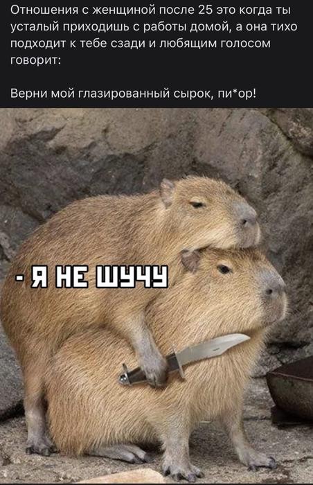 Картинки для деградации 72 (разной степени свежести)