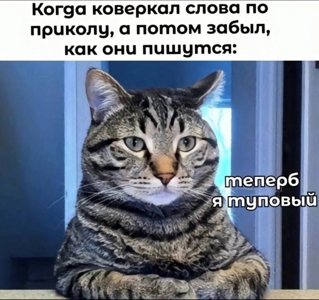 Котямбосы