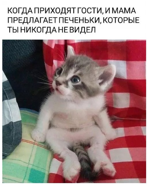 Картиночки, баянчики 16 мая