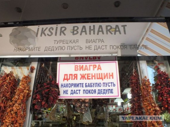 Маразмы года 2013