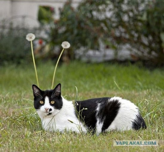 Подборка прикольных фото на начало мая