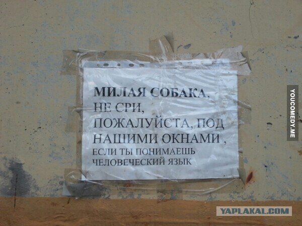 Небольшая подбока пикчей