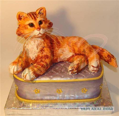 Торт с рыжим котом