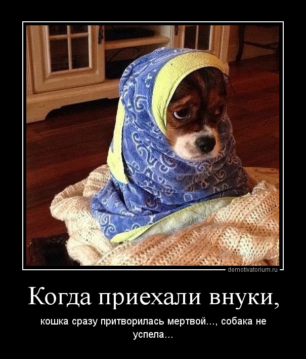 Демотиваторы.