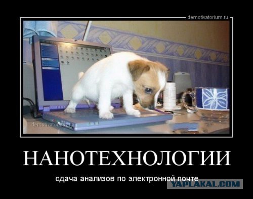 Подборка демотиваторов