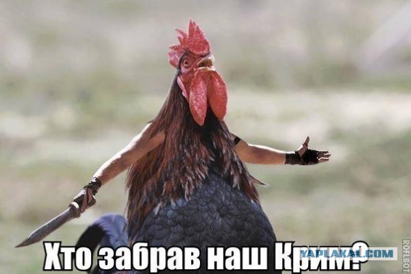 Советы от цензора