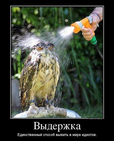 Демотиваторов пост