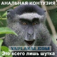 Вся мокрая, вышла из душа... (18+)