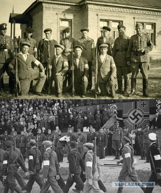 Тролль 80-го уровня.