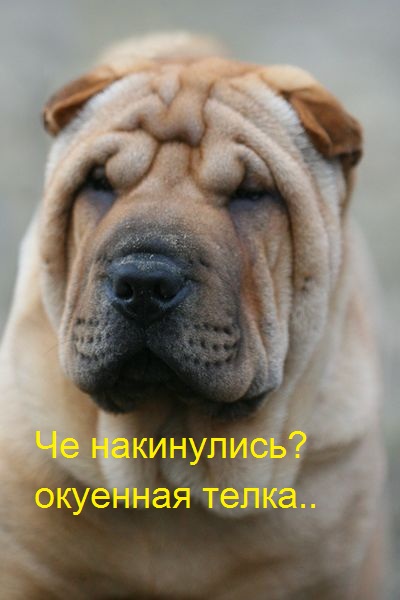 Зачем так одеваться?