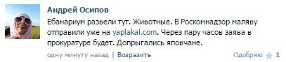 Видео о жизни дворовых алкашей под окном