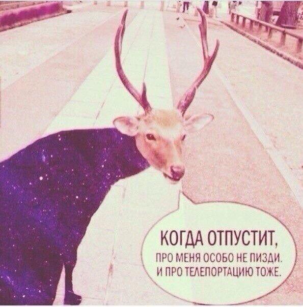 Случай на охоте