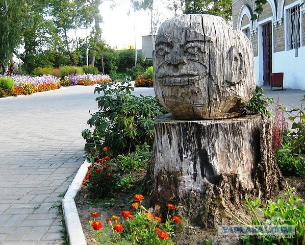 На заметку дачнику
